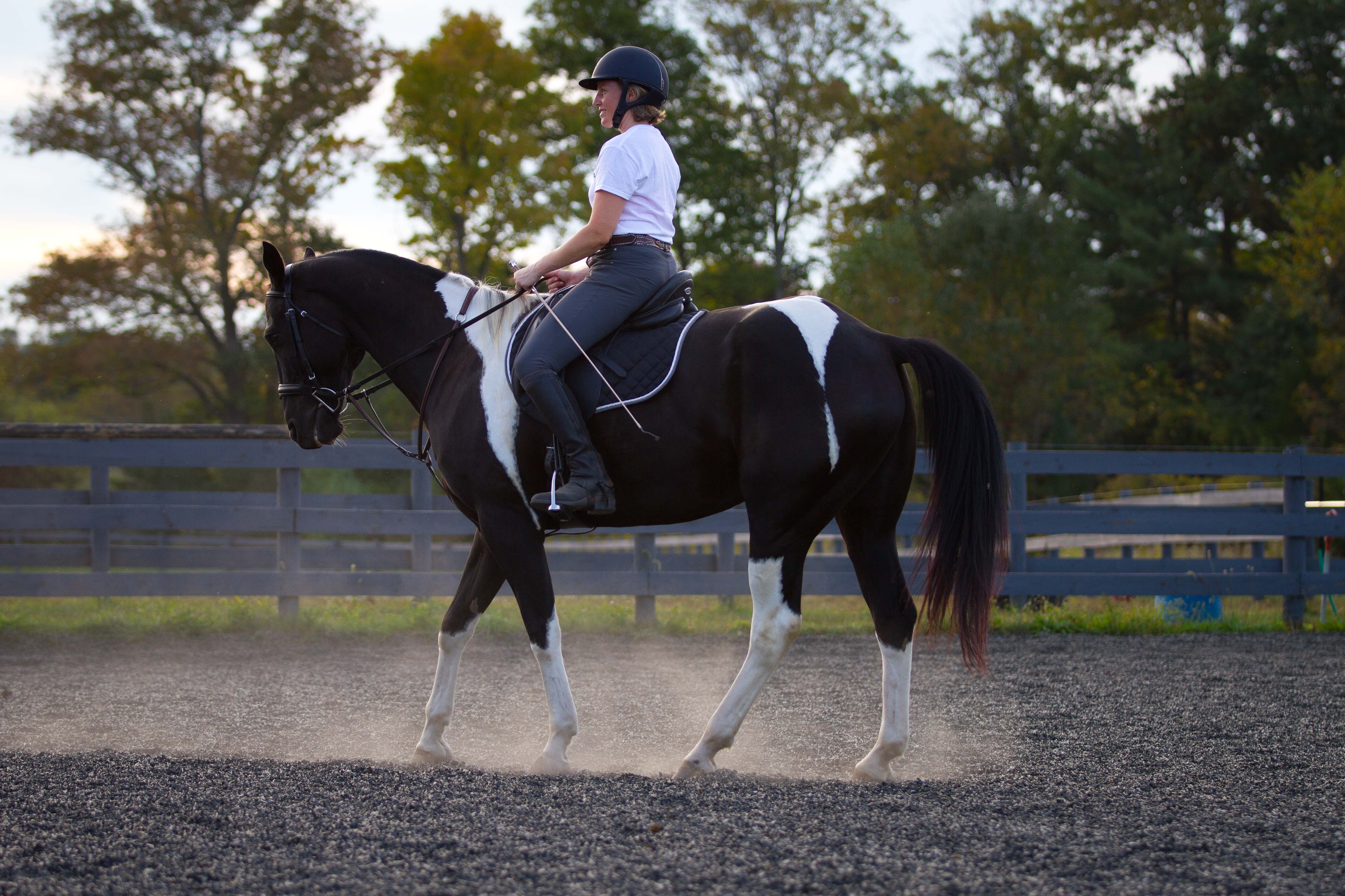 Using Patterns to Improve Your Riding (30m 40s)